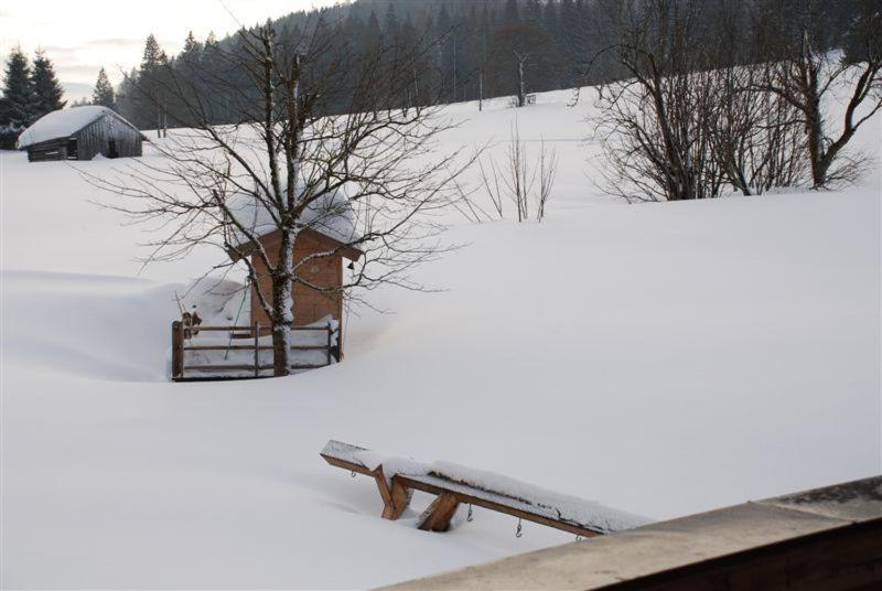 Landhaus Gertrude Eder Apartment Leogang Exterior photo